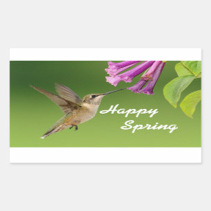 Kolibri-glücklicher Frühling Rechteckiger Aufkleber