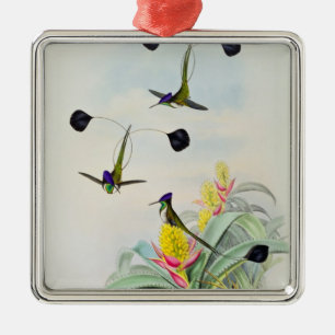 Kolibri, graviert durch Walter und Cohn Ornament Aus Metall