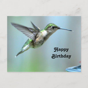 Kolibri Grün Flug Foto Wildtiere Geburtstag Postkarte
