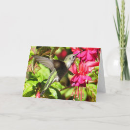 Kolibri-Gruß-Karte Karte