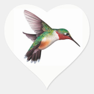Kolibri-Herz-Aufkleber Herz-Aufkleber