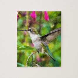 Kolibri im Flug
