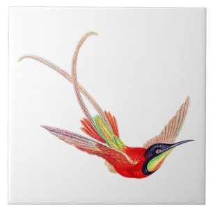 Kolibri im Flug Fliese