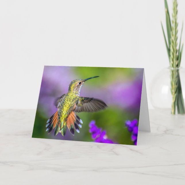Kolibri im lila Blumen-leeren Gruß Karte (Vorderseite)