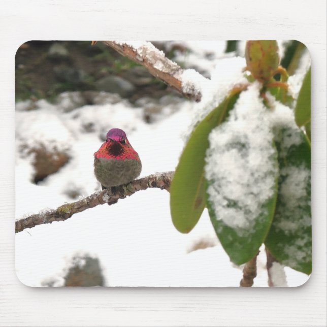 Kolibri im Winter Mousepad (Vorne)