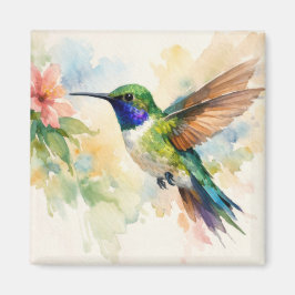 Kolibri in Aquarell Magnet