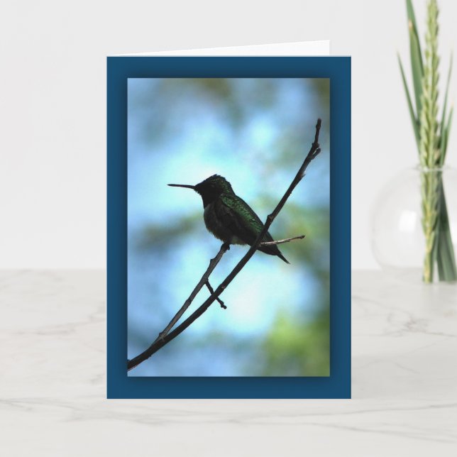 Kolibri in der Silhouette Karte (Vorderseite)