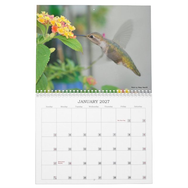 Kolibri-Kalender 2013 Kalender (Jan 2027)