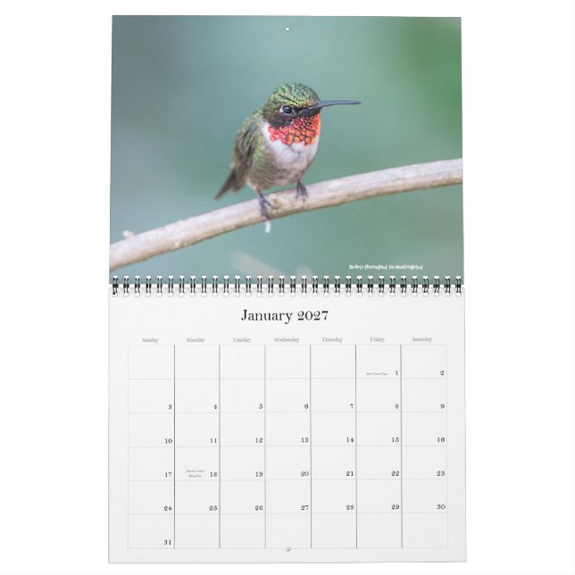 Kolibri-Kalender 2016 Kalender (Jan 2027)