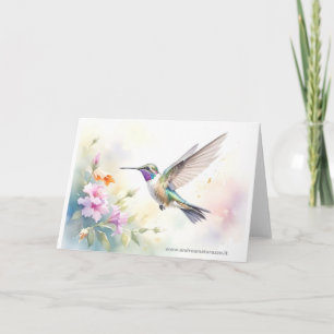 Kolibri Karte