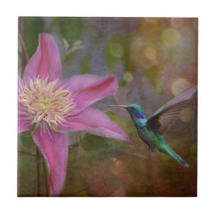 Kolibri-Keramikfliese Fliese