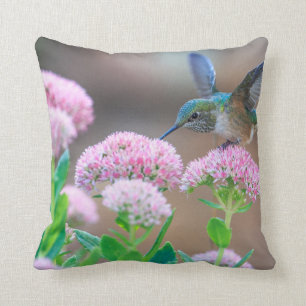 Kolibri Kissen