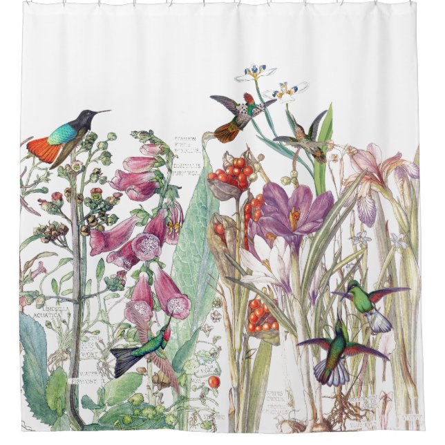 Kolibri-Krokus-Fingerhut-Blumen-Duschvorhang Duschvorhang (Vorderseite)