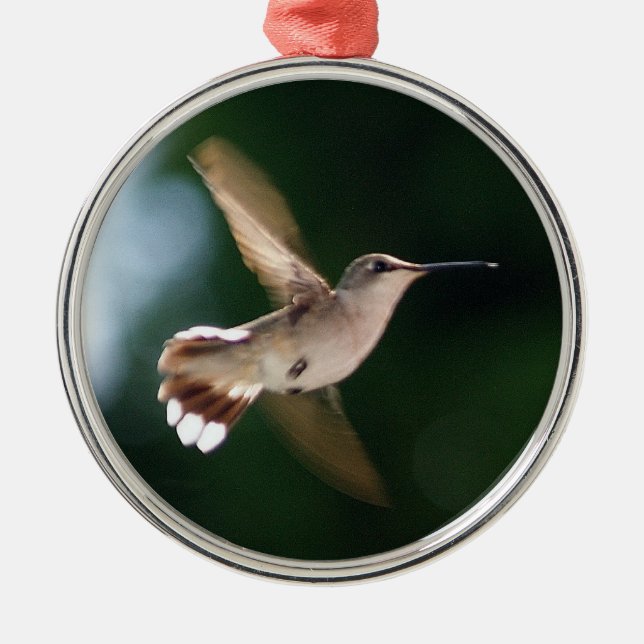 Kolibri-Liebhaber-Verzierung Silbernes Ornament (Vorne)