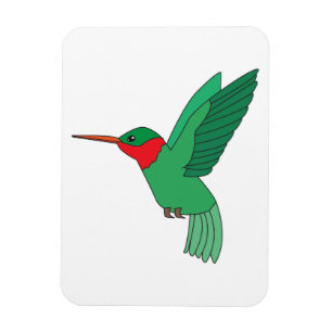 Kolibri Magnet