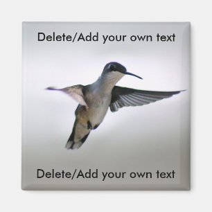 Kolibri-Magnet Magnet