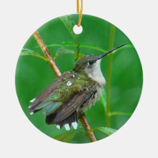 Kolibri mit Flügel-Verbreitung Keramikornament (Vorne)