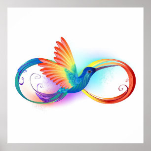 Kolibri mit Unendlichkeitssymbol und Regenbogen Poster