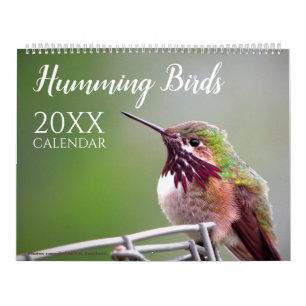 Kolibri Natur Wildtiere Kalender