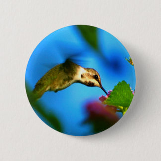 Kolibri-Nippen Button