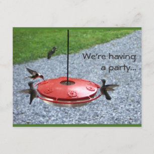 Kolibri-Party-Einladung Einladung