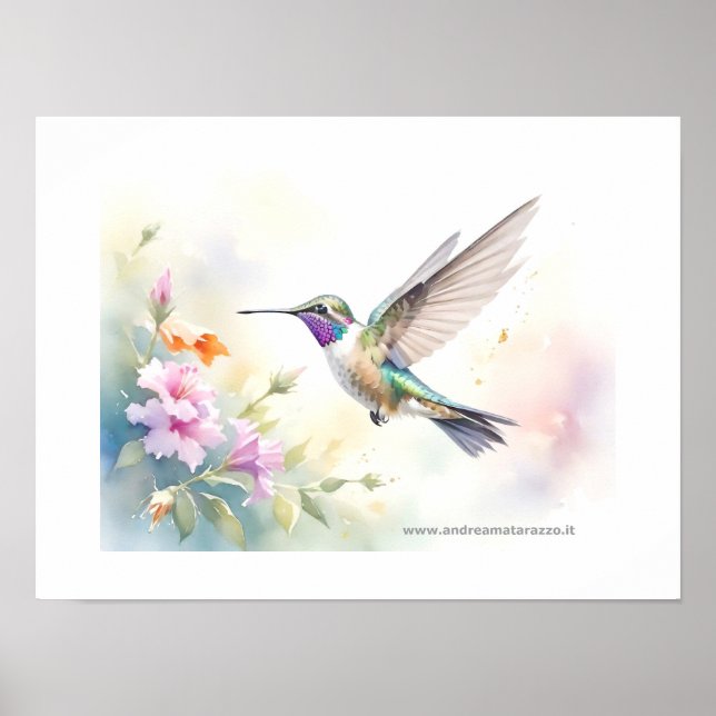 Kolibri Poster (Vorne)