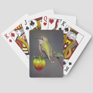 Kolibri ruht auf Blütenknospe Spielkarten