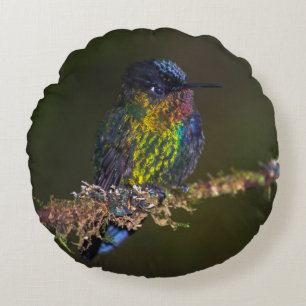 Kolibri Rundes Kissen