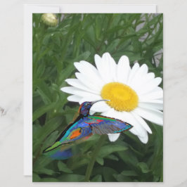 Kolibri-Schabblonenpapier 