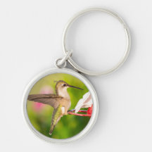 Kolibri-Schlüsselanhänger Design #108A0605