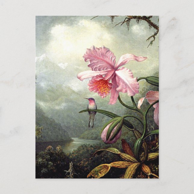 Kolibri sitzend, feine Kunst, Postkarte (Vorderseite)