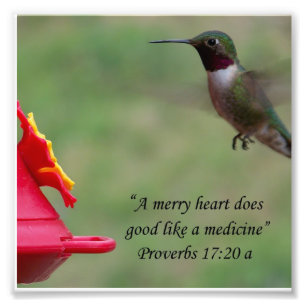 Kolibri-Sprichwort-17:20 Bibel-Vers-Fotografie Fotodruck