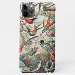 Kolibri, Trochilidae Kolibris von Ernst Haeckel Case-Mate iPhone Hülle