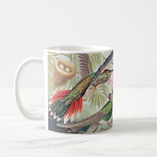 Kolibri, Trochilidae Kolibris von Ernst Haeckel Kaffeetasse