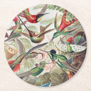 Kolibri, Trochilidae Kolibris von Ernst Haeckel Runder Pappuntersetzer