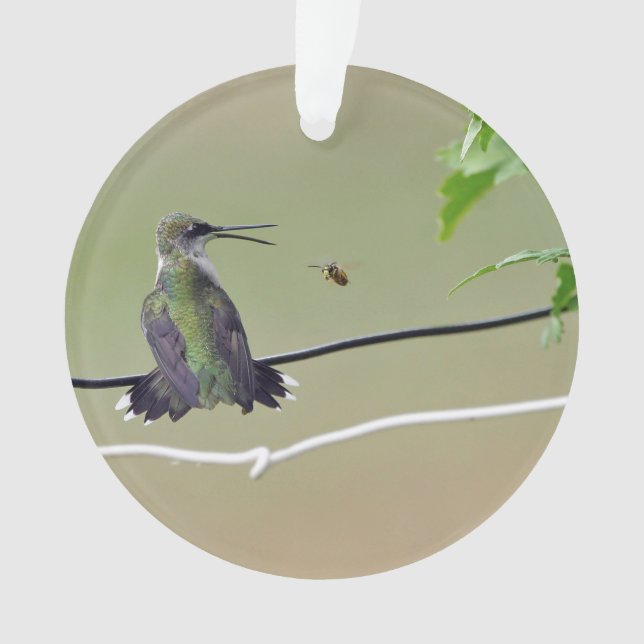 Kolibri-u. Honig-Biene Ornament (Vorderseite)