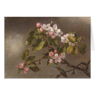 Kolibri und Apple-Blüten