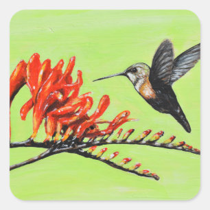 Kolibri und Crocosmia-Malerei Quadratischer Aufkleber