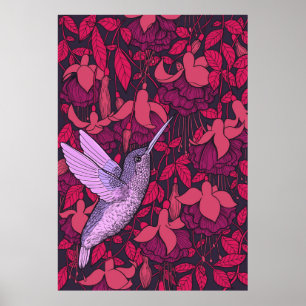 Kolibri und Fuchsie violett Poster