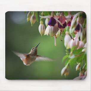 Kolibri-und Fushia Blumen-Pflanze Mousepad