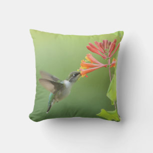 Kolibri und Geißblatt Wurfkissen Kissen