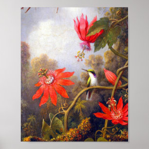 Kolibri und Passiflora von Martin Johnson Heade Poster