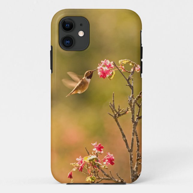 Kolibri und rosa Blumen Case-Mate iPhone Hülle (Rückseite)