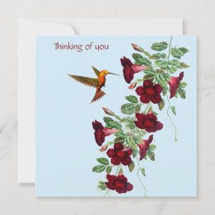 Kolibri und rote Blumen Mitteilungskarte