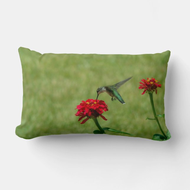 Kolibri und rote Zinnias Lendenkissen (Vorderseite)