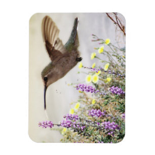 Kolibri und Wildblumen Digitale Kunst Magnet