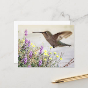 Kolibri und Wildblumen Digitale Kunst Postkarte