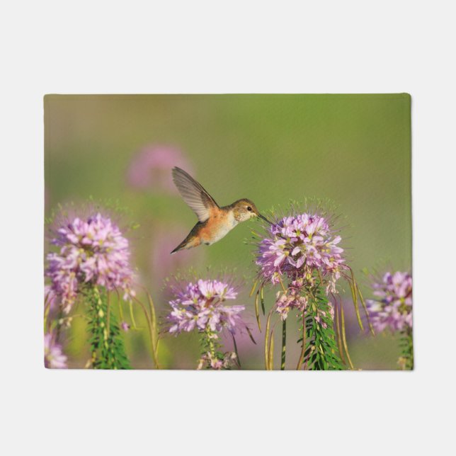 Kolibri und Wildblumen Fußmatte (Vorderseite)
