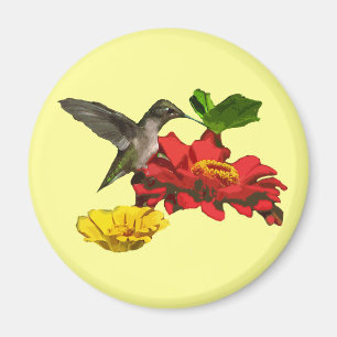 Kolibri und Zinnias Magnet