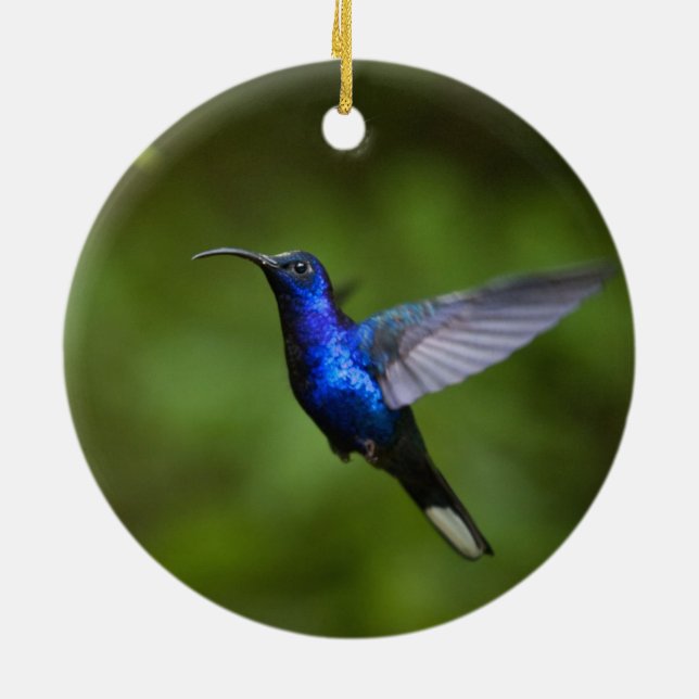 KOLIBRI-VERZIERUNG KERAMIKORNAMENT (Hinten)